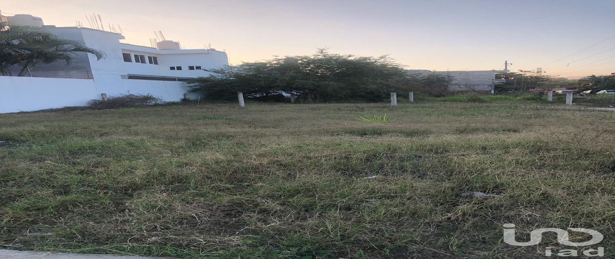Foto de terreno habitacional en venta en guayabo 142, palmares universidad, puerto vallarta, jalisco, 29451012 No. 05