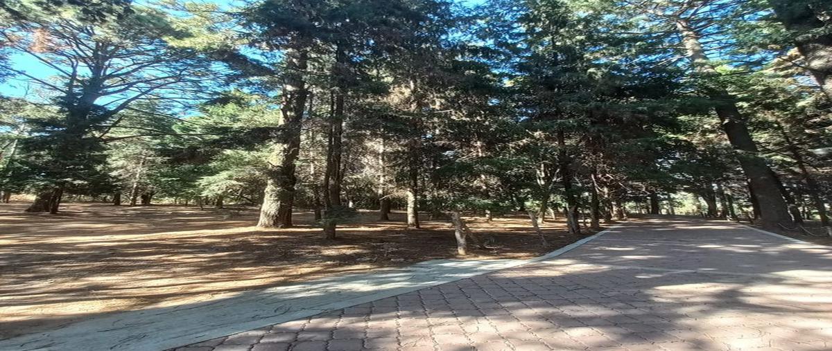 Foto de terreno habitacional en venta en guayabos , lomas de zompantle, cuernavaca, morelos, 25442570 No. 05