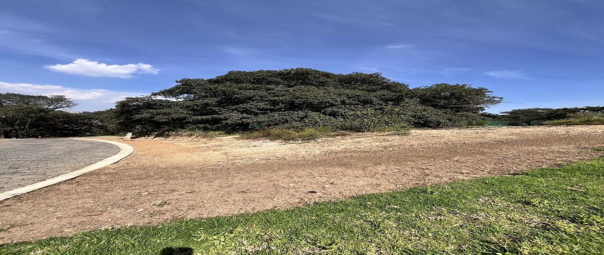 Foto de terreno habitacional en venta en guayabos , rancho san juan, atizapán de zaragoza, méxico, 0 No. 03