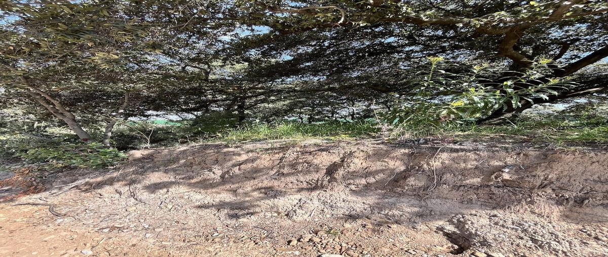 Foto de terreno habitacional en venta en guayabos , rancho san juan, atizapán de zaragoza, méxico, 0 No. 04