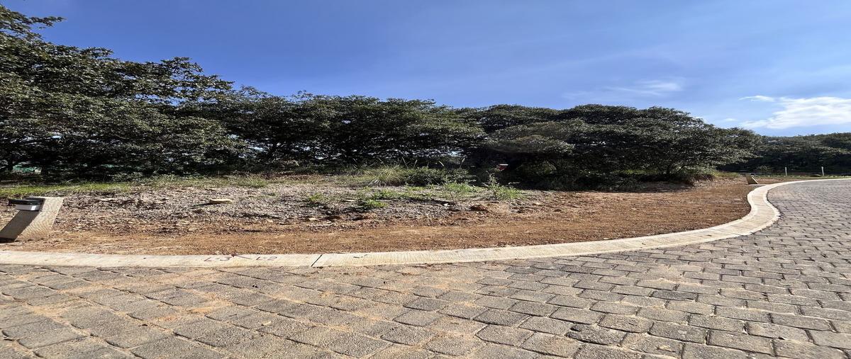 Foto de terreno habitacional en venta en guayabos , rancho san juan, atizapán de zaragoza, méxico, 0 No. 05