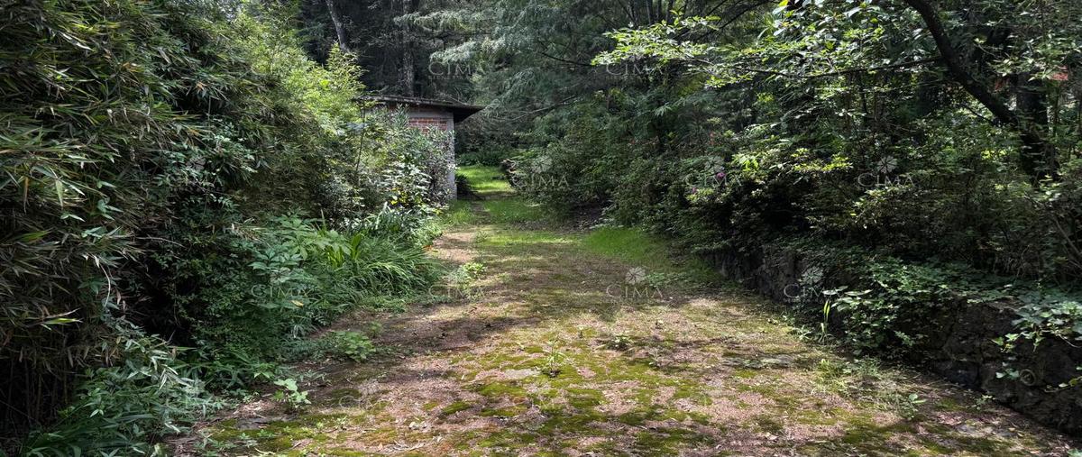 Foto de terreno habitacional en venta en  , guayacahuala, huitzilac, morelos, 0 No. 03