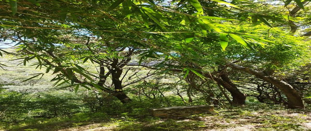Foto de terreno habitacional en venta en guayapanco camino real , jalmolonga, malinalco, méxico, 25424384 No. 03