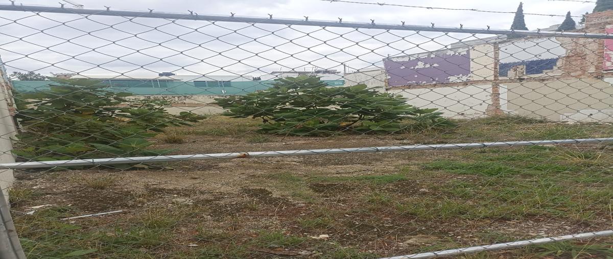 Foto de terreno comercial en guayaquil , providencia 3a secc, guadalajara, jalisco, 30065406 foto 02 Foto de terreno comercial en renta en guayaquil , providencia 3a secc, guadalajara, jalisco, 30065406 No. 02