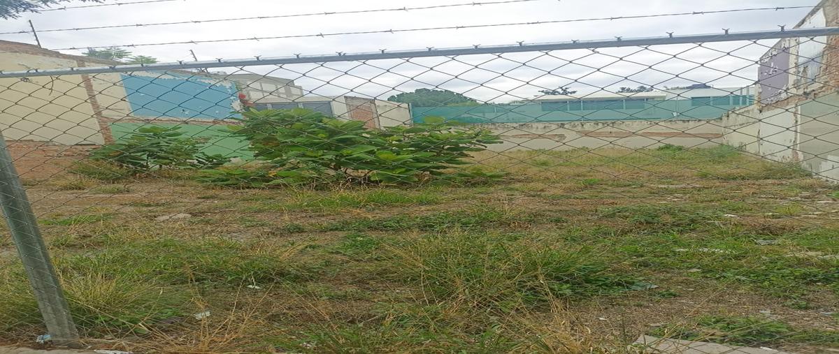 Foto de terreno comercial en guayaquil , providencia 3a secc, guadalajara, jalisco, 30065406 foto 04 Foto de terreno comercial en renta en guayaquil , providencia 3a secc, guadalajara, jalisco, 30065406 No. 04
