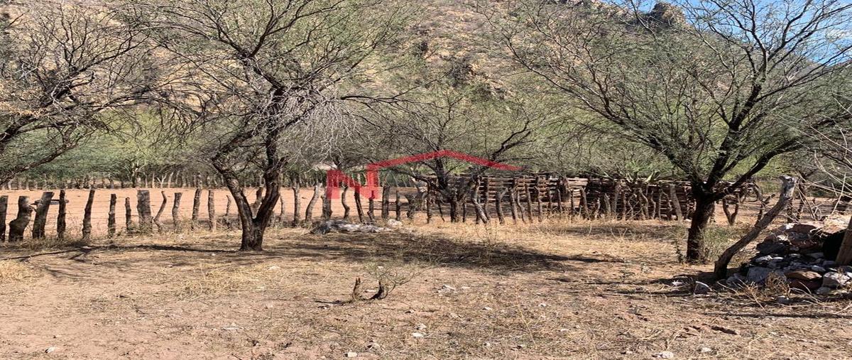 Foto de rancho en , guaymas centro, guaymas, sonora, 0 foto 05 Foto de rancho en venta en , guaymas centro, guaymas, sonora, 0 No. 05