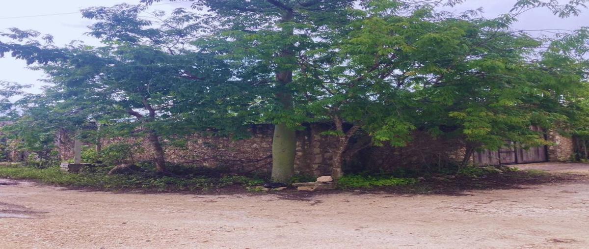 Foto de terreno habitacional en renta en  , guerra de castas, tulum, quintana roo, 0 No. 04