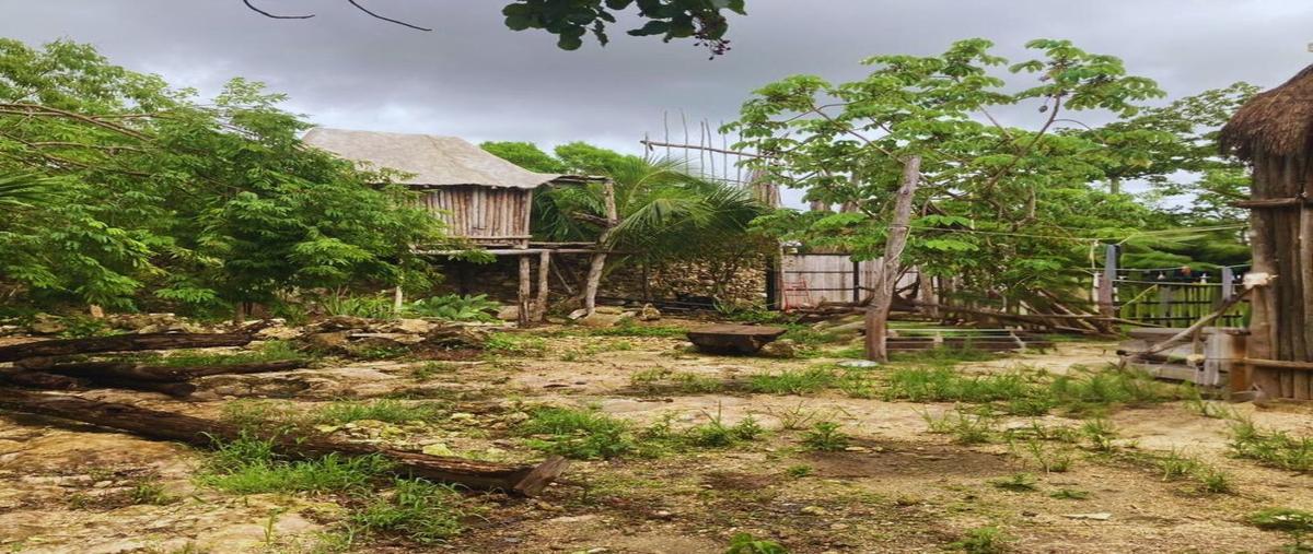 Foto de terreno habitacional en venta en  , guerra de castas, tulum, quintana roo, 0 No. 05