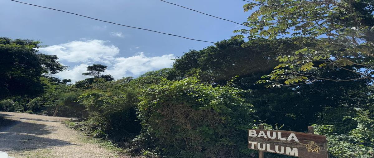 Foto de terreno habitacional en venta en  , guerra de castas, tulum, quintana roo, 0 No. 05