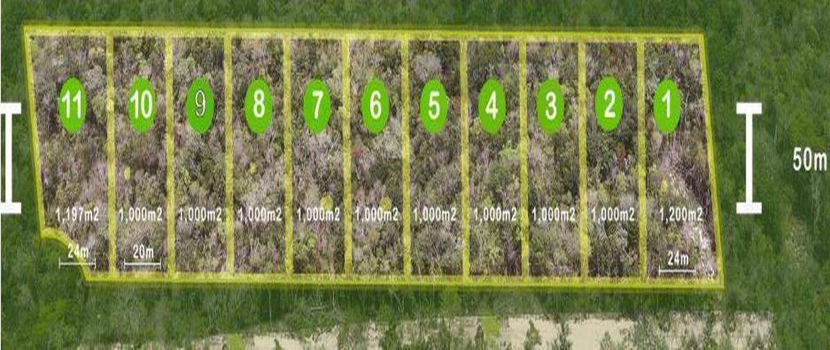 Foto de terreno habitacional en venta en  , guerra de castas, tulum, quintana roo, 0 No. 04