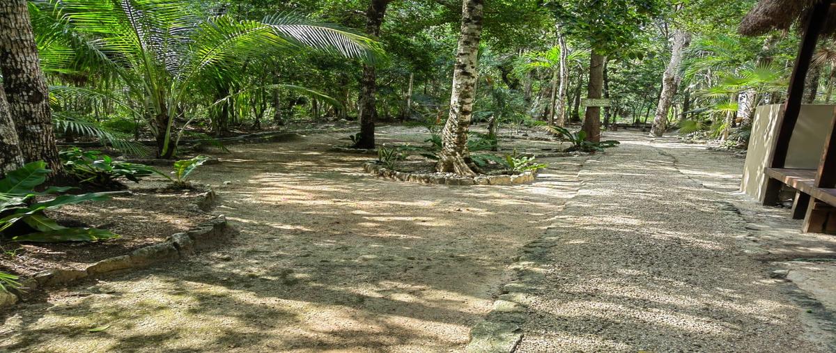 Foto de casa en venta en  , guerra de castas, tulum, quintana roo, 0 No. 03