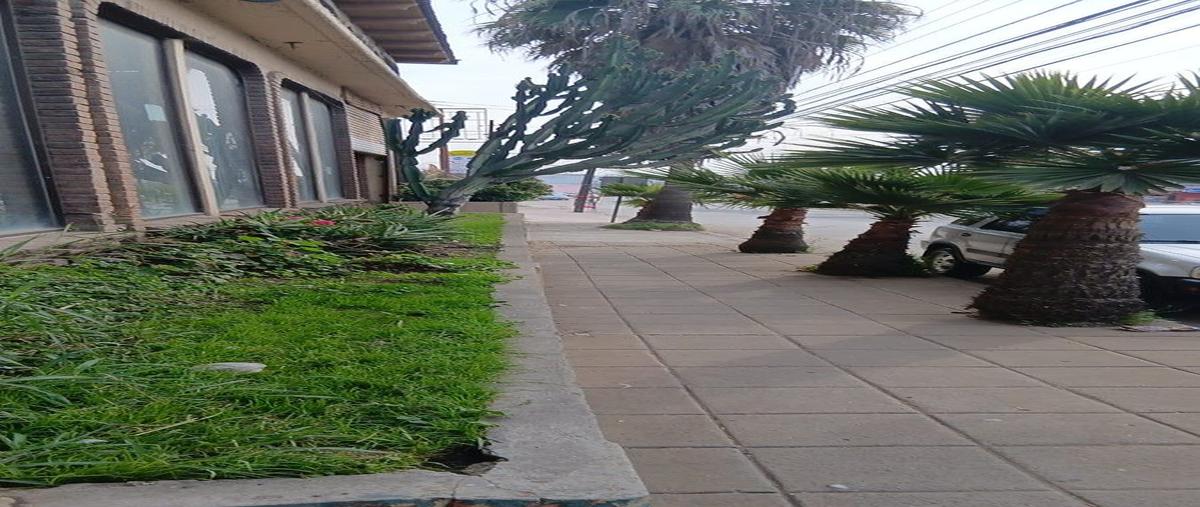 Foto de local en guerrero , constitución, playas de rosarito, baja california, 20831566 foto 02 Foto de local en renta en guerrero , constitución, playas de rosarito, baja california, 20831566 No. 02