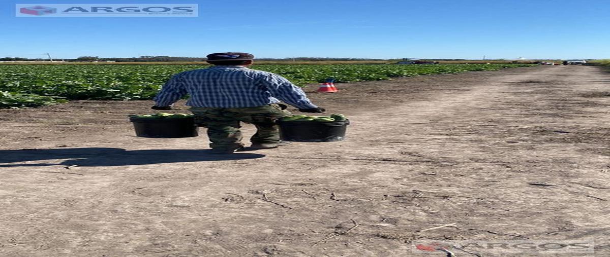 Foto de terreno habitacional en venta en  , guerrero, guerrero, coahuila de zaragoza, 0 No. 05
