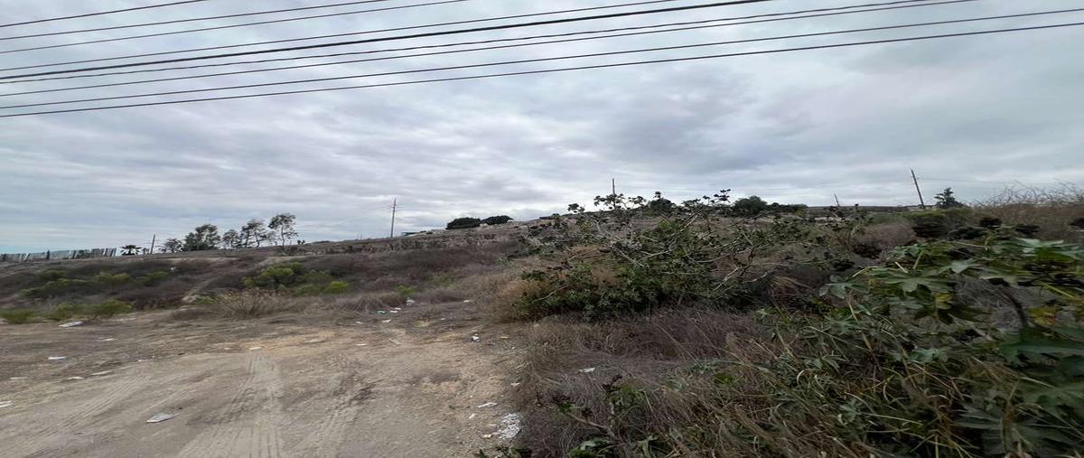 Foto de terreno habitacional en renta en guerrero negro , industrial pacífico i, tijuana, baja california, 30428623 No. 04