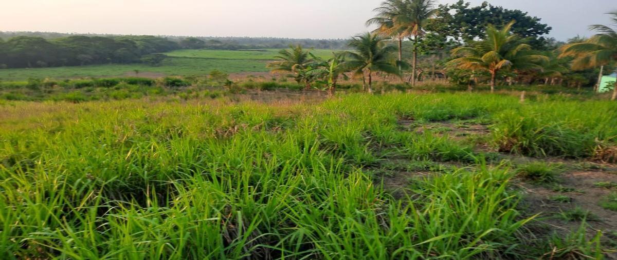 Foto de rancho en venta en guillermo prieto, coatzacoalcos, veracruz , guillermo prieto, coatzacoalcos, veracruz de ignacio de la llave, 26481057 No. 03