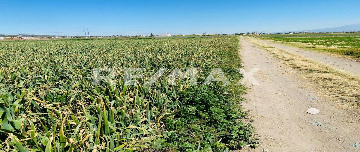 Foto de terreno comercial en guillermo prieto , san gregorio atzompa, san gregorio atzompa, puebla, 27738446 foto 02 Foto de terreno comercial en venta en guillermo prieto , san gregorio atzompa, san gregorio atzompa, puebla, 27738446 No. 02