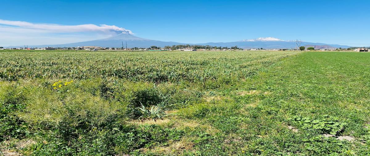 Foto de terreno comercial en guillermo prieto , san gregorio atzompa, san gregorio atzompa, puebla, 27738446 foto 04 Foto de terreno comercial en venta en guillermo prieto , san gregorio atzompa, san gregorio atzompa, puebla, 27738446 No. 04