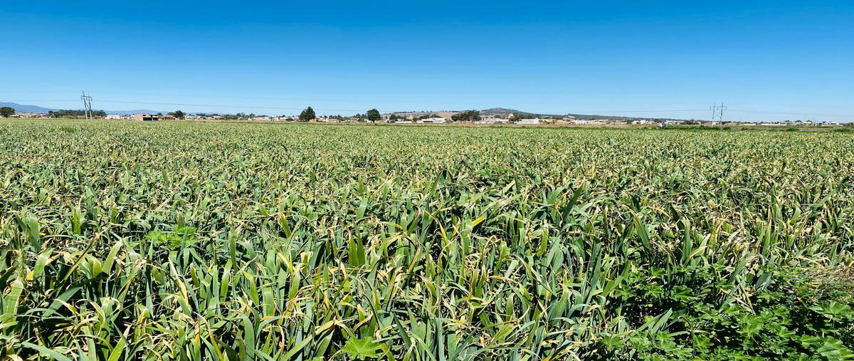 Foto de terreno comercial en guillermo prieto , san gregorio atzompa, san gregorio atzompa, puebla, 27738446 foto 05 Foto de terreno comercial en venta en guillermo prieto , san gregorio atzompa, san gregorio atzompa, puebla, 27738446 No. 05