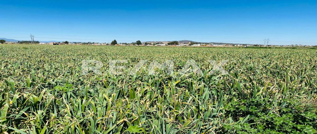 Foto de terreno comercial en guillermo prieto , san gregorio atzompa, san gregorio atzompa, puebla, 27738446 foto 05 Foto de terreno comercial en venta en guillermo prieto , san gregorio atzompa, san gregorio atzompa, puebla, 27738446 No. 05