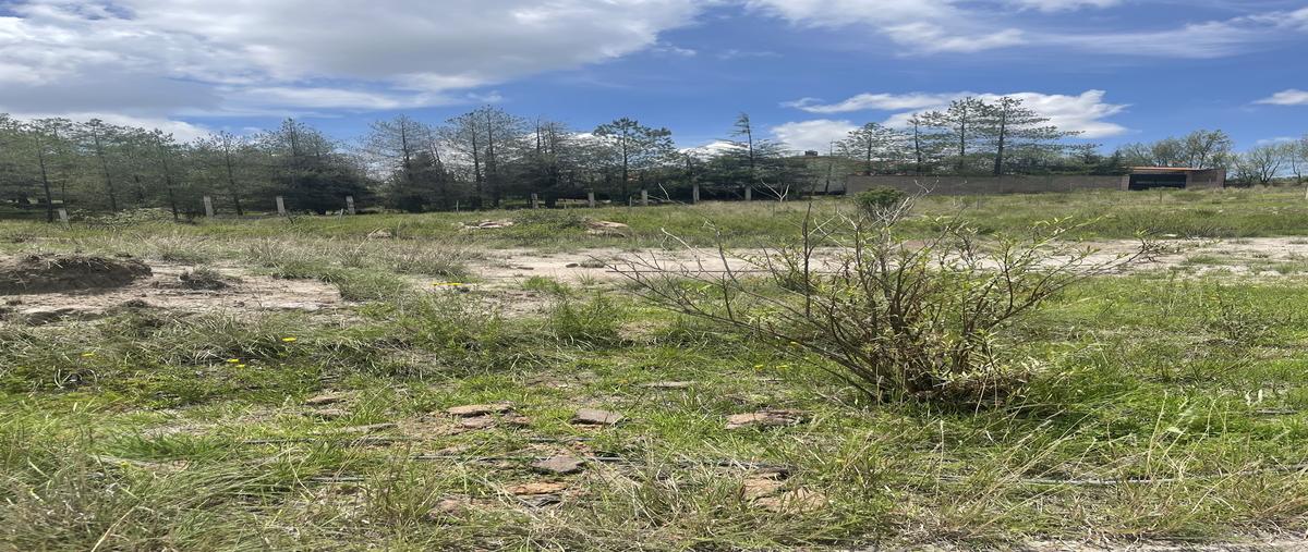 Foto de terreno habitacional en venta en  , gunyo oriente, aculco, méxico, 28284276 No. 04