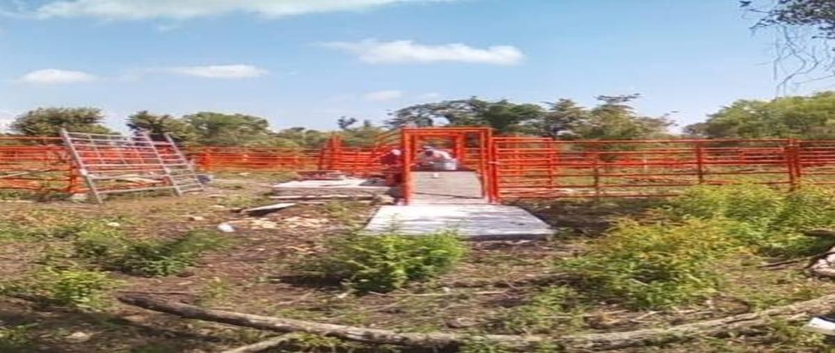 Foto de terreno habitacional en venta en  , gustavo armendia, ciudad valles, san luis potosí, 16289515 No. 03