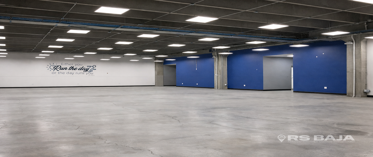 Foto de oficina en gustavo diaz ordaz , el paraíso, tijuana, baja california, 0 foto 04 Foto de oficina en renta en gustavo diaz ordaz , el paraíso, tijuana, baja california, 0 No. 04