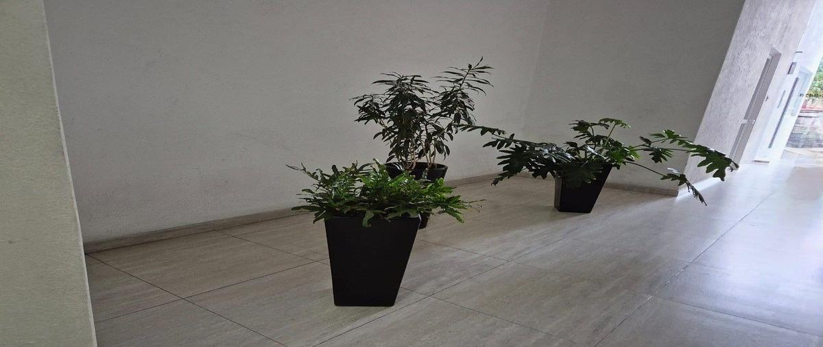 Foto de departamento en renta en gutierrez zamora , las águilas, álvaro obregón, df / cdmx, 0 No. 05