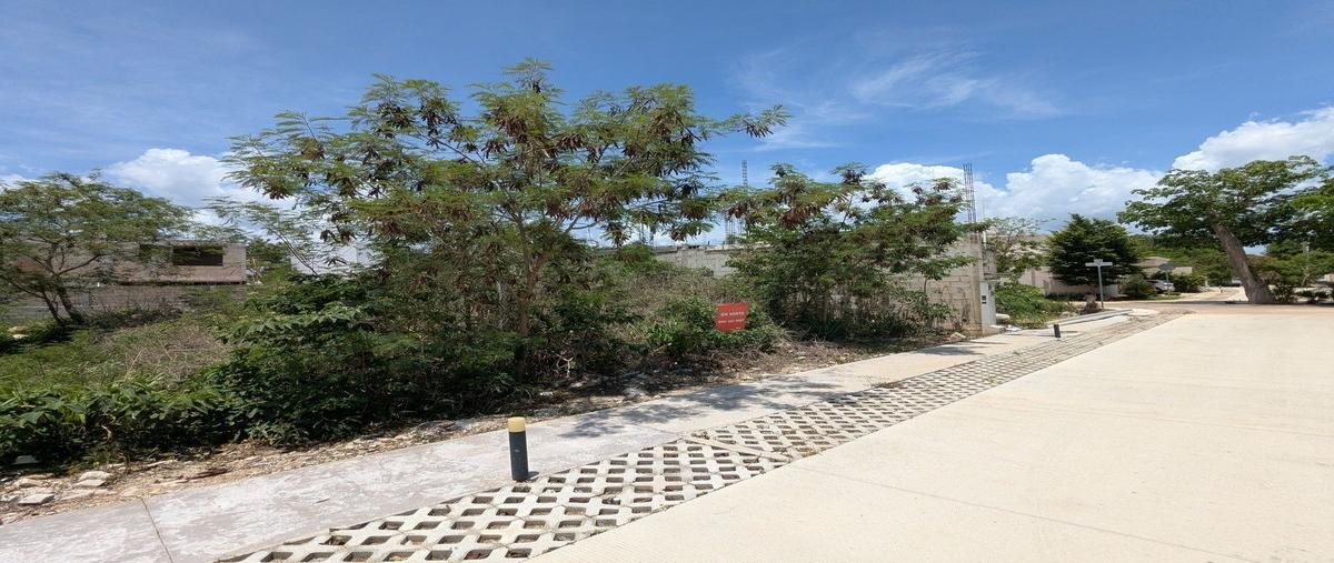 Foto de terreno habitacional en haab , cholul, mérida, yucatán, 0 foto 02 Foto de terreno habitacional en venta en haab , cholul, mérida, yucatán, 0 No. 02