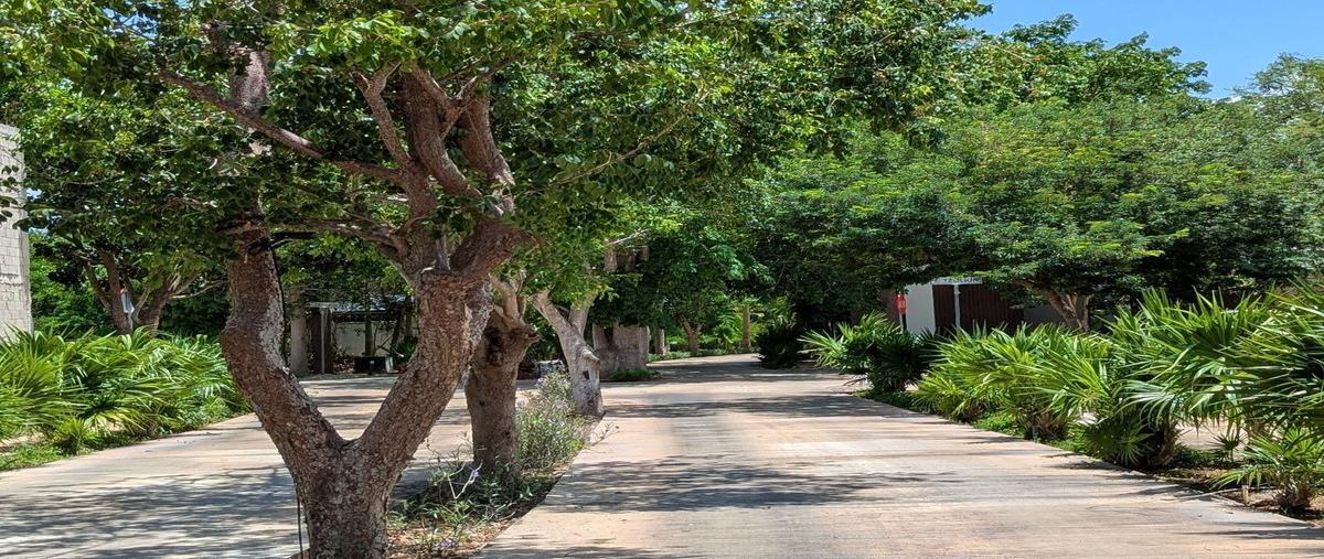 Foto de terreno habitacional en haab , cholul, mérida, yucatán, 0 foto 04 Foto de terreno habitacional en venta en haab , cholul, mérida, yucatán, 0 No. 04