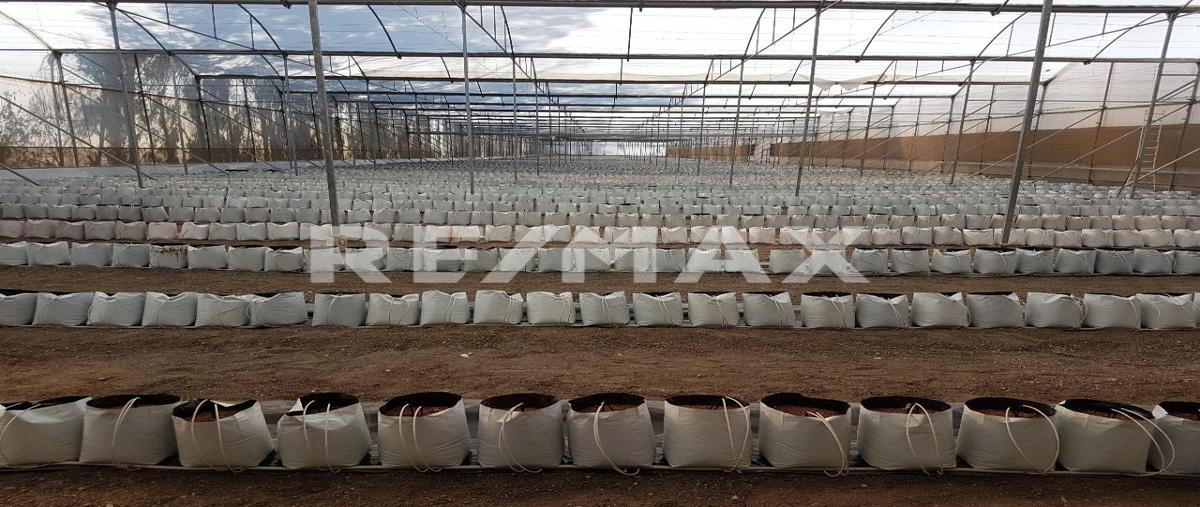 Foto de rancho en venta en hacienda agua azul , la punta, apaseo el grande, guanajuato, 0 No. 03