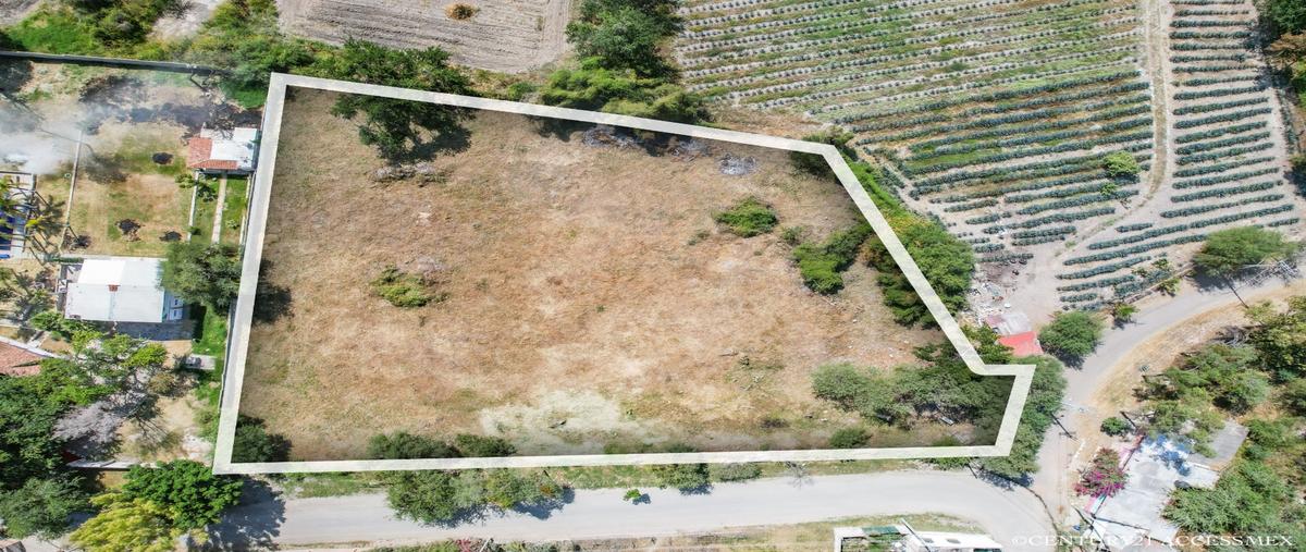 Foto de terreno habitacional en , hacienda de la labor, chapala, jalisco, 27279403 foto 01 Foto de terreno habitacional en venta en , hacienda de la labor, chapala, jalisco, 27279403 No. 01