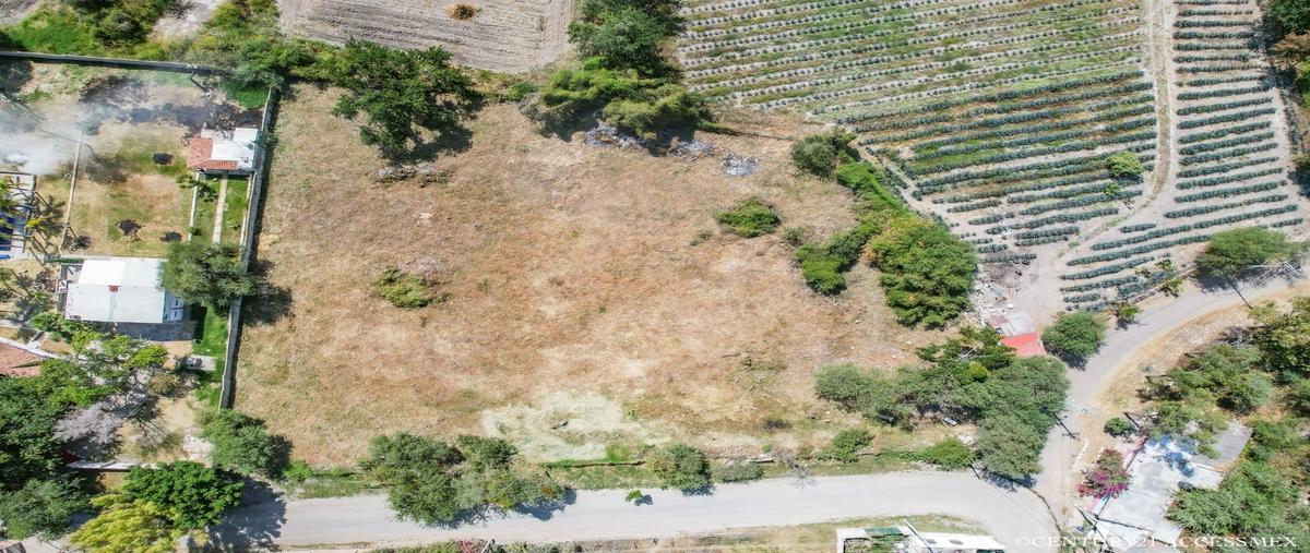 Foto de terreno habitacional en , hacienda de la labor, chapala, jalisco, 27279403 foto 03 Foto de terreno habitacional en venta en , hacienda de la labor, chapala, jalisco, 27279403 No. 03