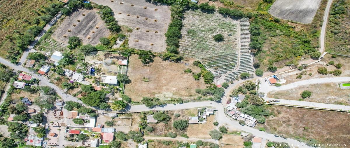 Foto de terreno habitacional en , hacienda de la labor, chapala, jalisco, 27279403 foto 04 Foto de terreno habitacional en venta en , hacienda de la labor, chapala, jalisco, 27279403 No. 04