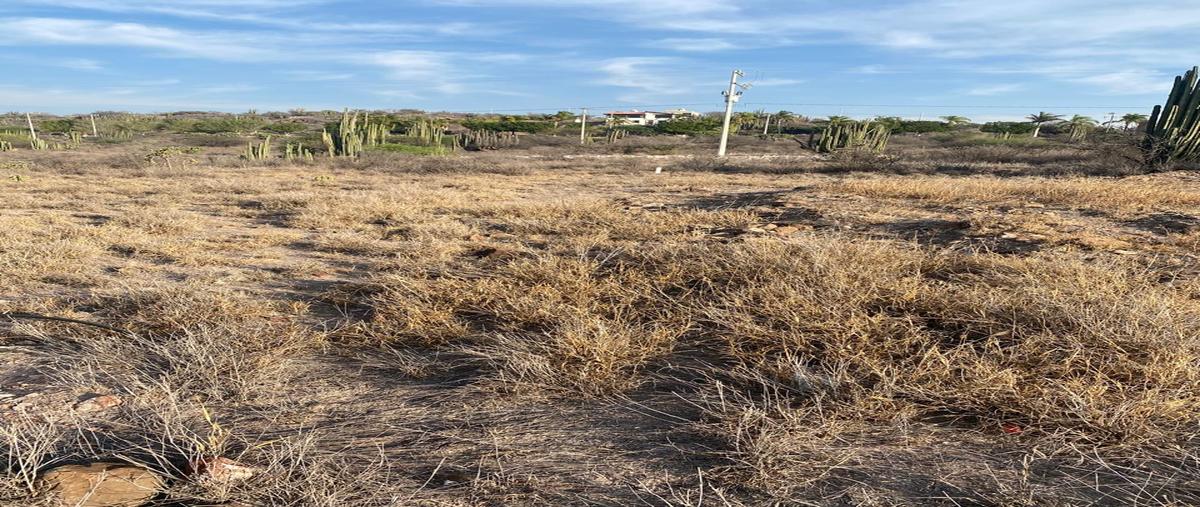 Foto de terreno habitacional en venta en hacienda de la soledad - sección primera , residencial hacienda yextho, tecozautla, hidalgo, 29062624 No. 04