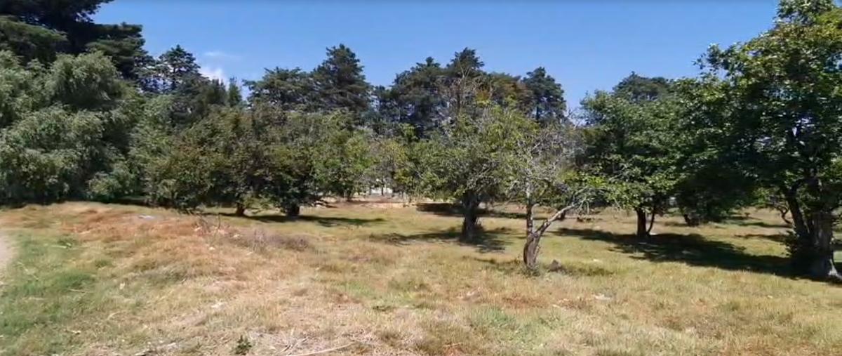 Foto de terreno comercial en venta en hacienda de santiago mextla , la joya de santiago mextla, huejotzingo, puebla, 29531978 No. 03
