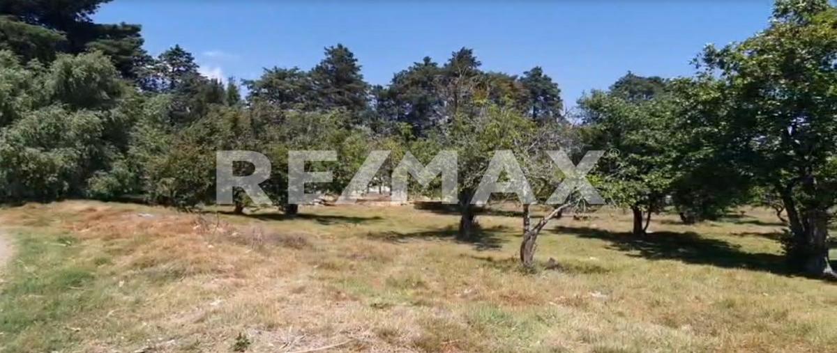 Foto de terreno comercial en venta en hacienda de santiago mextla , la joya de santiago mextla, huejotzingo, puebla, 0 No. 03