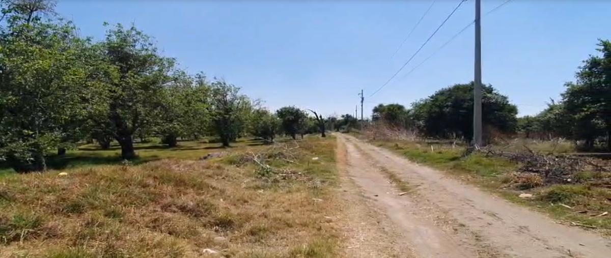 Foto de terreno comercial en venta en hacienda de santiago mextla , la joya de santiago mextla, huejotzingo, puebla, 29531978 No. 04