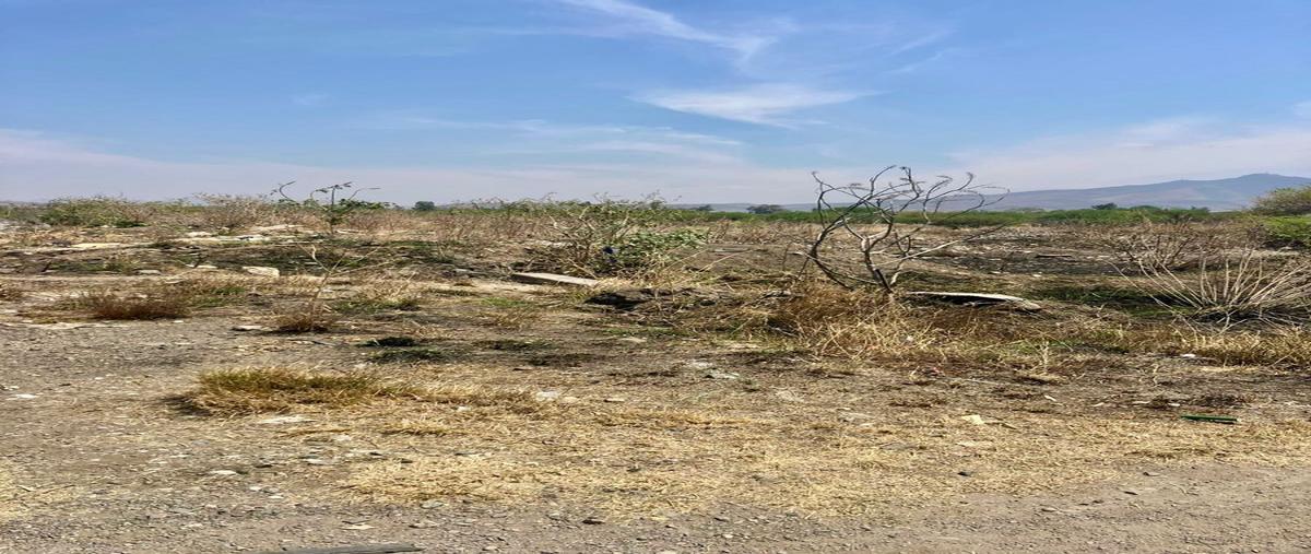 Foto de terreno habitacional en venta en  , hacienda de silao, silao de la victoria, guanajuato, 30125289 No. 04