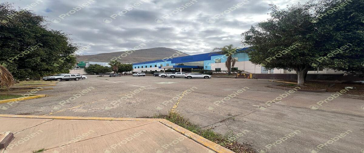Foto de nave industrial en hacienda del colorado , presidentes, tijuana, baja california, 28393531 foto 04 Foto de nave industrial en renta en hacienda del colorado , presidentes, tijuana, baja california, 28393531 No. 04