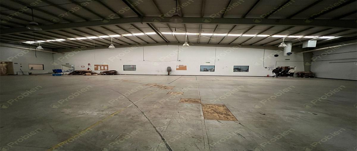 Foto de nave industrial en hacienda del colorado , presidentes, tijuana, baja california, 28393531 foto 05 Foto de nave industrial en renta en hacienda del colorado , presidentes, tijuana, baja california, 28393531 No. 05