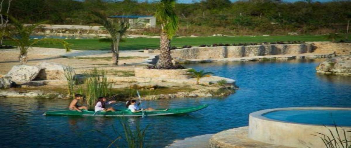 Foto de terreno habitacional en venta en  , hacienda dzodzil, mérida, yucatán, 30334387 No. 05