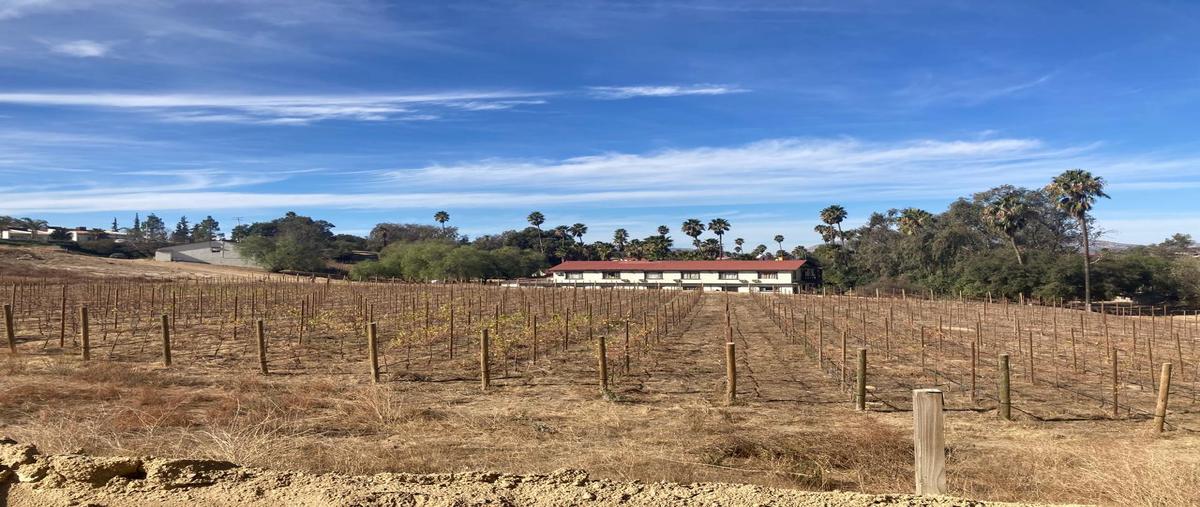 Foto de terreno habitacional en hacienda encino , hacienda tecate, tecate, baja california, 29234168 foto 04 Foto de terreno habitacional en renta en hacienda encino , hacienda tecate, tecate, baja california, 29234168 No. 04