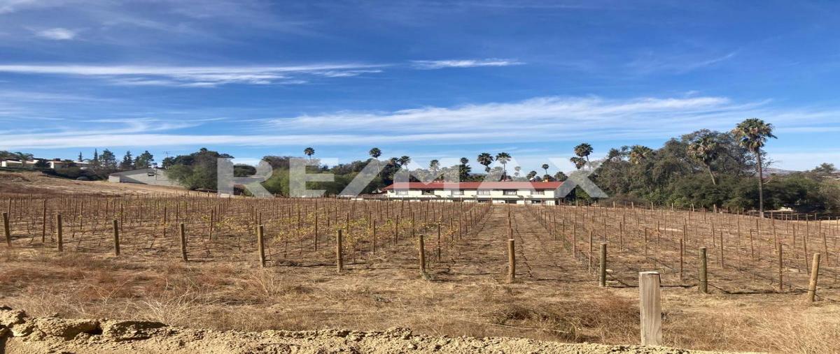 Foto de terreno habitacional en renta en hacienda encino , hacienda tecate, tecate, baja california, 0 No. 04