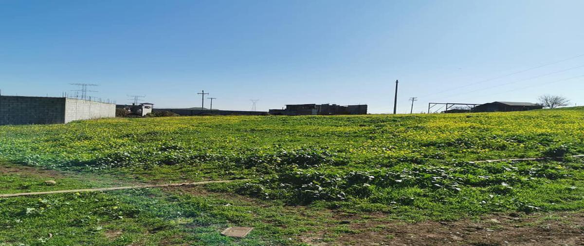 Foto de terreno habitacional en venta en hacienda floresta, playas de rosarito, baja california , hacienda floresta, playas de rosarito, baja california, 0 No. 05