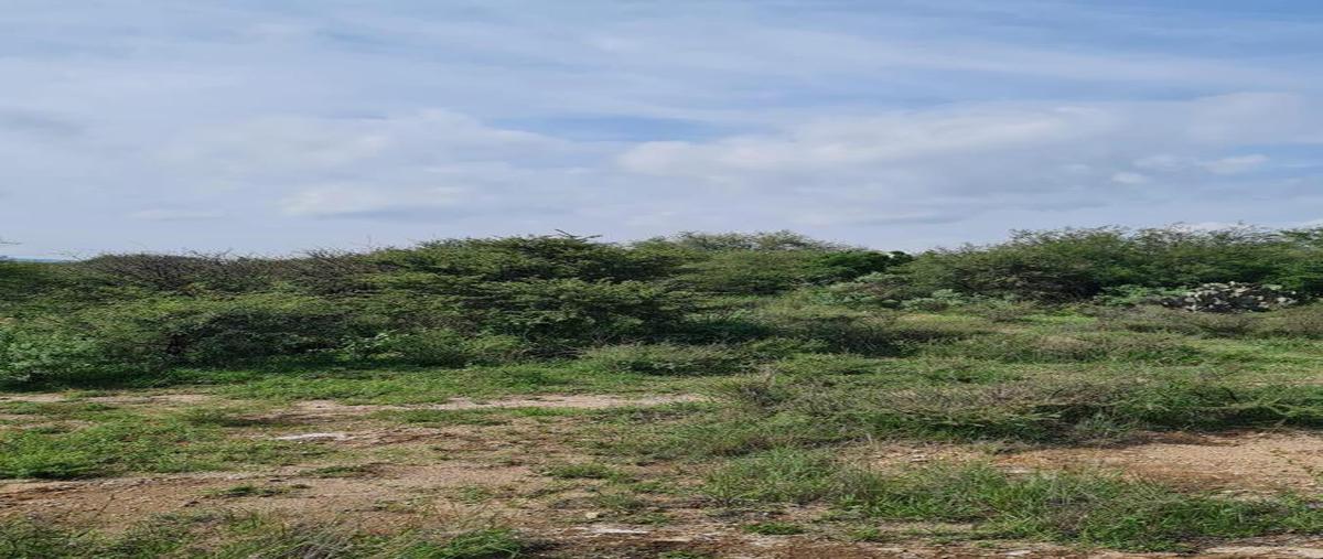 Foto de terreno habitacional en venta en  , hacienda grande, tequisquiapan, querétaro, 0 No. 04