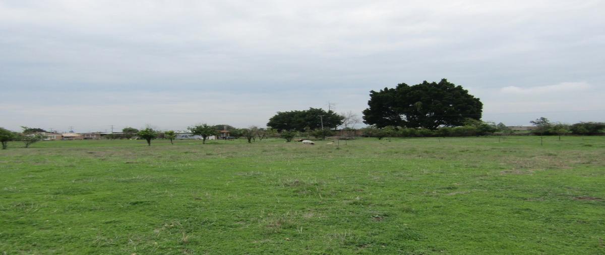 Foto de terreno comercial en venta en hacienda la calerilla , santa maría tequepexpan, san pedro tlaquepaque, jalisco, 23677490 No. 04