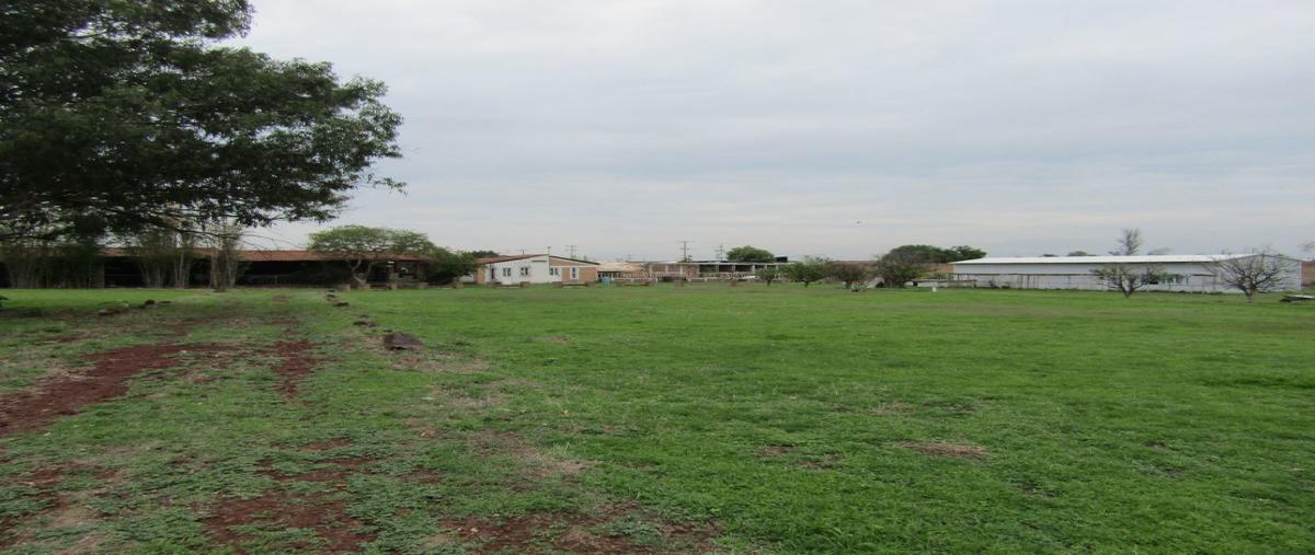 Foto de terreno comercial en venta en hacienda la calerilla , santa maría tequepexpan, san pedro tlaquepaque, jalisco, 23677490 No. 05