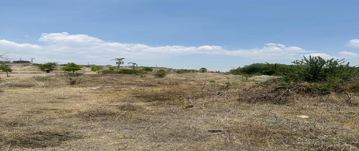 Foto de terreno habitacional en venta en hacienda la concepción , hacienda la concepción, tepotzotlán, méxico, 30017224 No. 04
