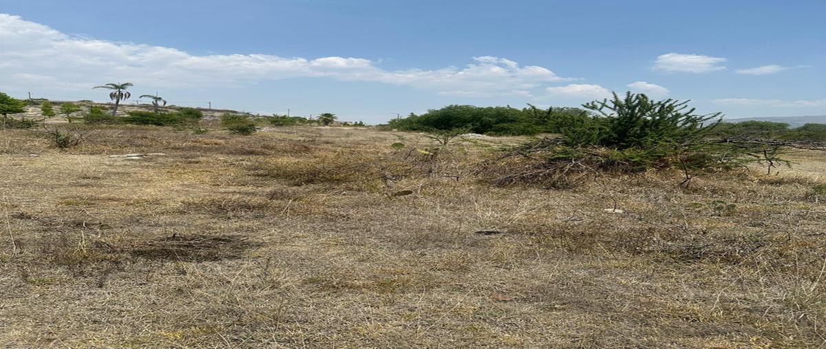 Foto de terreno habitacional en venta en hacienda la concepción , hacienda la concepción, tepotzotlán, méxico, 30017224 No. 05