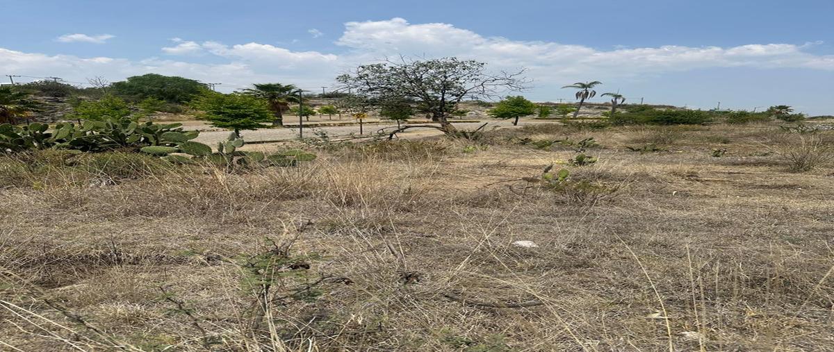 Foto de terreno habitacional en venta en hacienda la concepción , hacienda la concepción, tepotzotlán, méxico, 30017226 No. 05